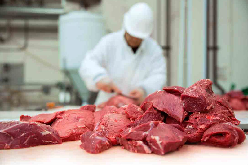 Alternativas en la producción y transformación de la carne mexicana